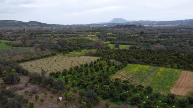 Stilos Kreta, Stilos: Charmantes ländliches Grundstück mit Bergblick zu verkaufen Grundstück kaufen